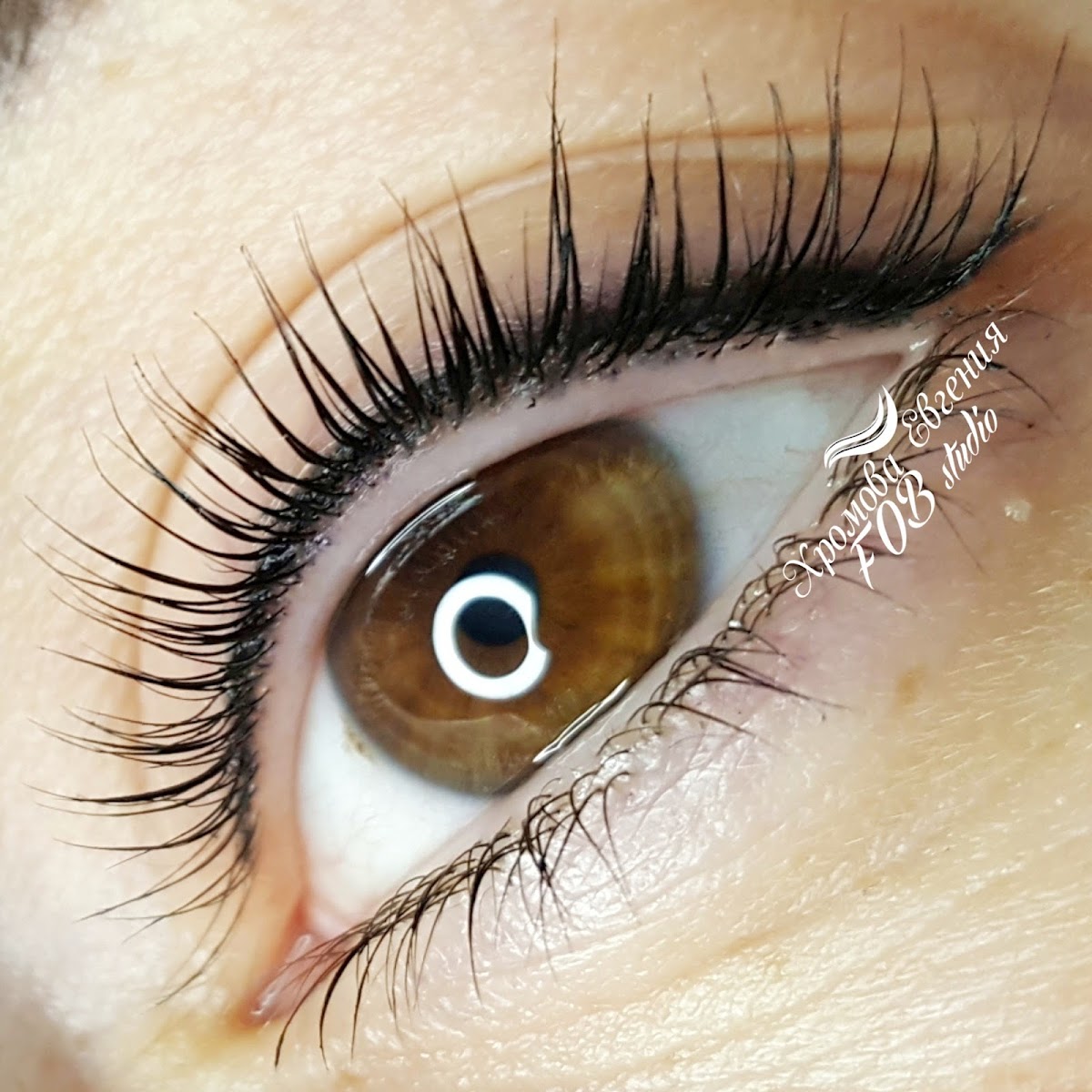 Апарт-отель «НЭП-Дубки» - photo 5