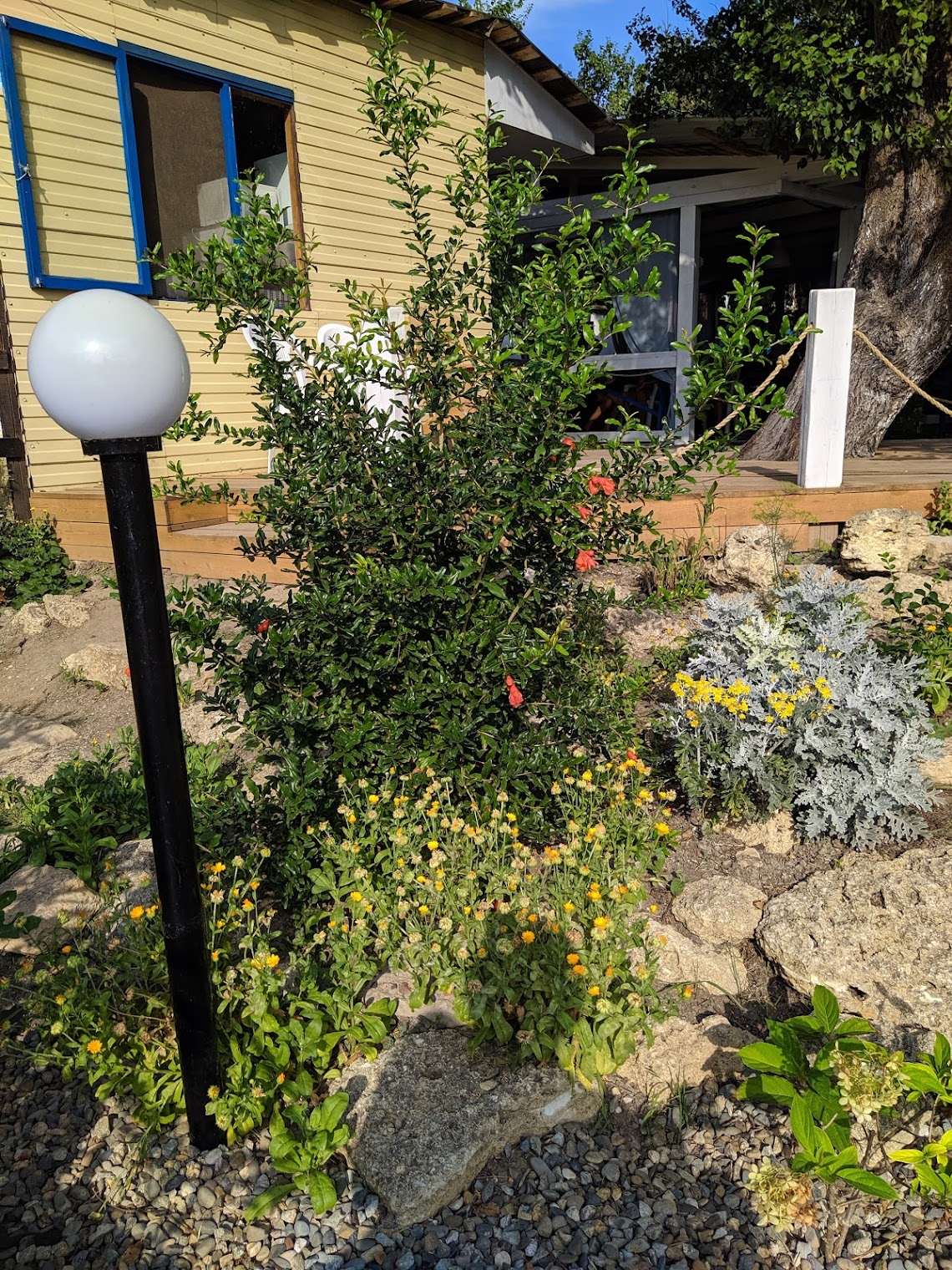 Тихая Гавань