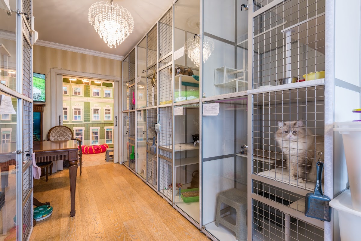 Отель для кошек. - photo 2