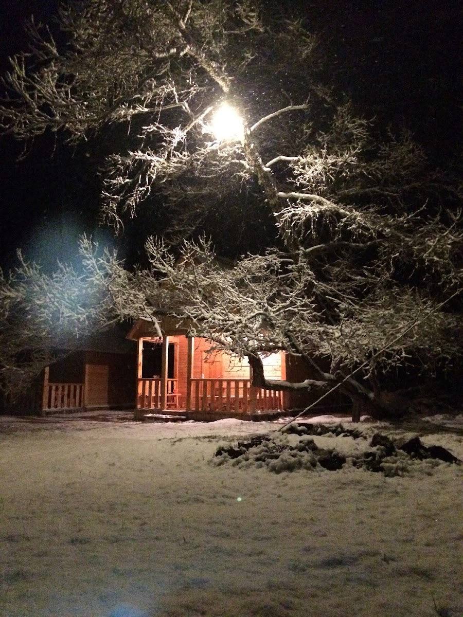 База отдыха "Красный Лис" - photo 4