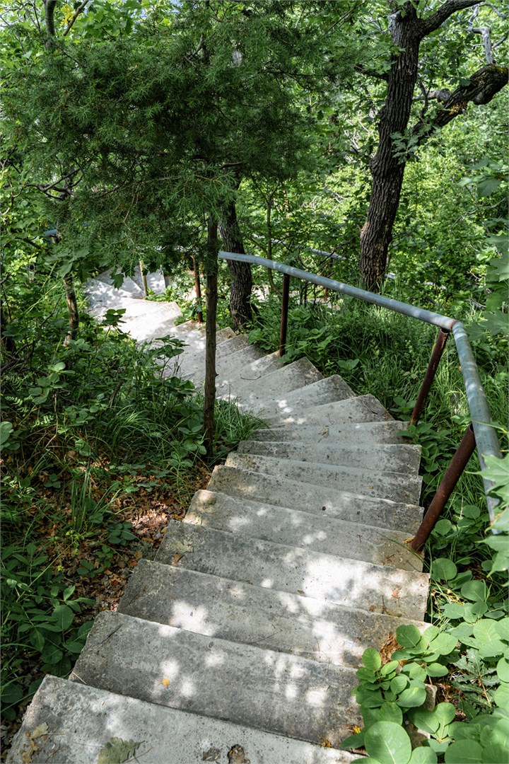 Green Wood - photo 5