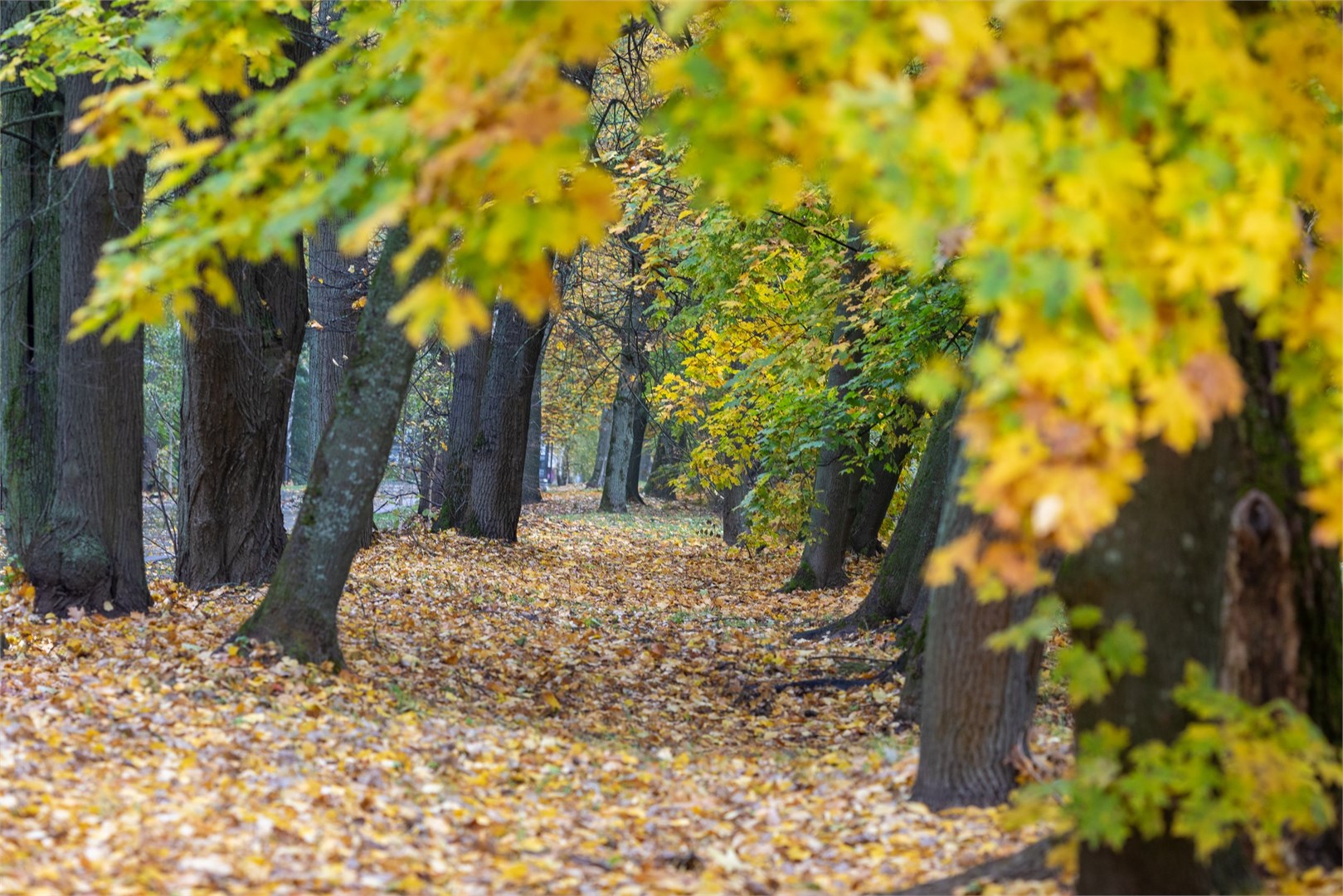 Загородный отель "Усадьба Горки" - photo 3