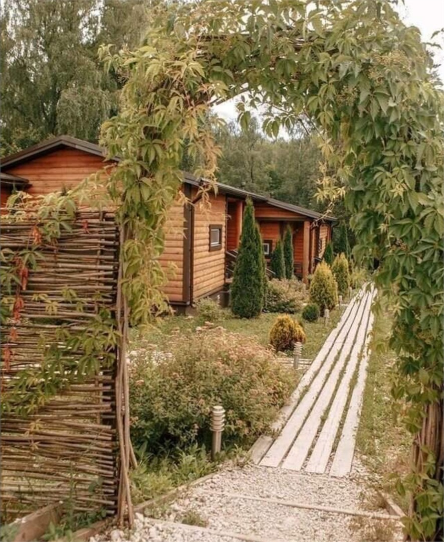 Три медведя - photo 5