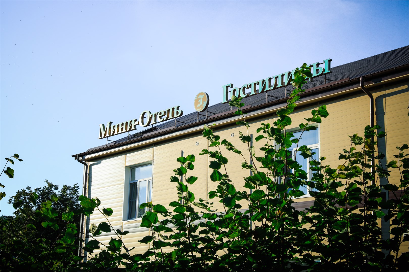 Гостилицы - photo 3