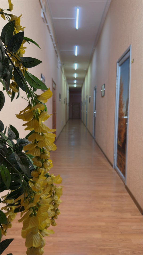 Центральная - photo 2