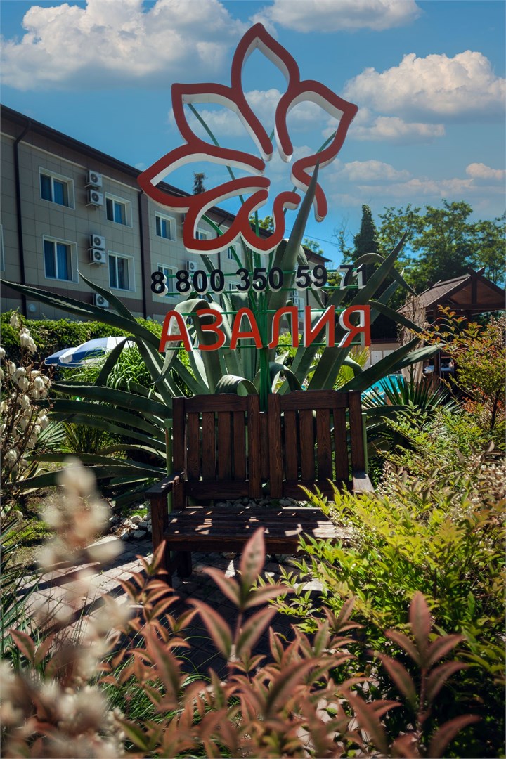 Азалия - photo 3