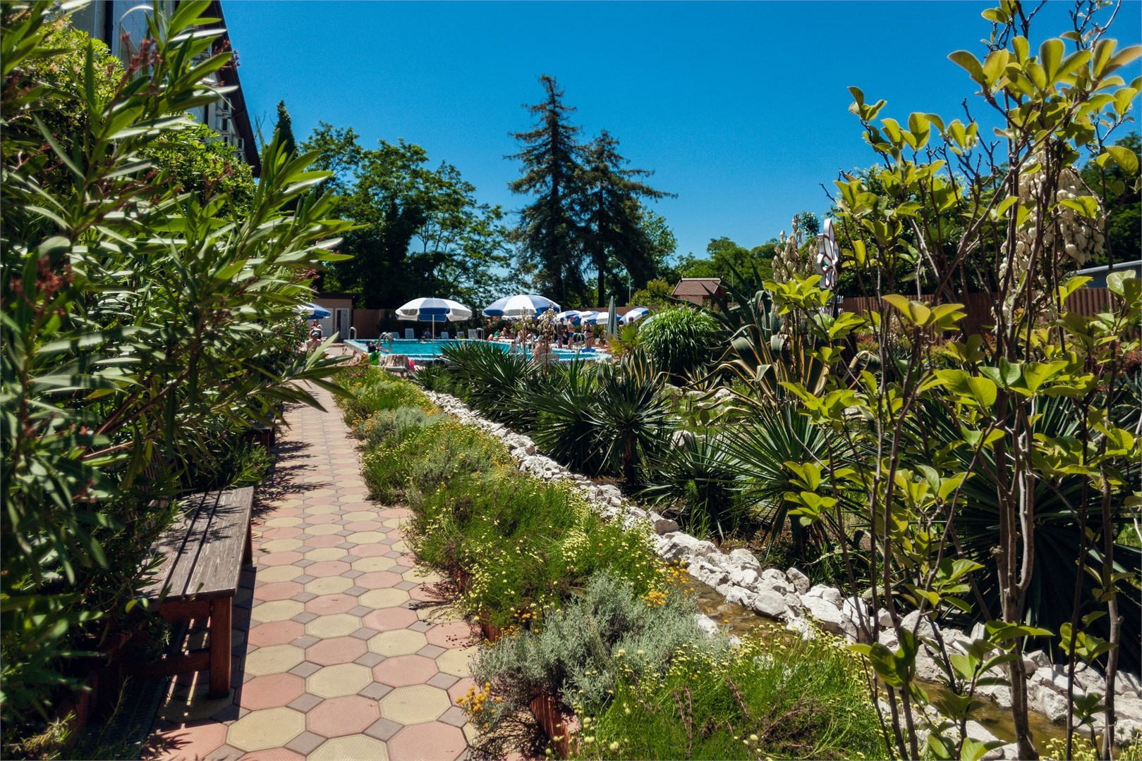 Азалия - photo 5