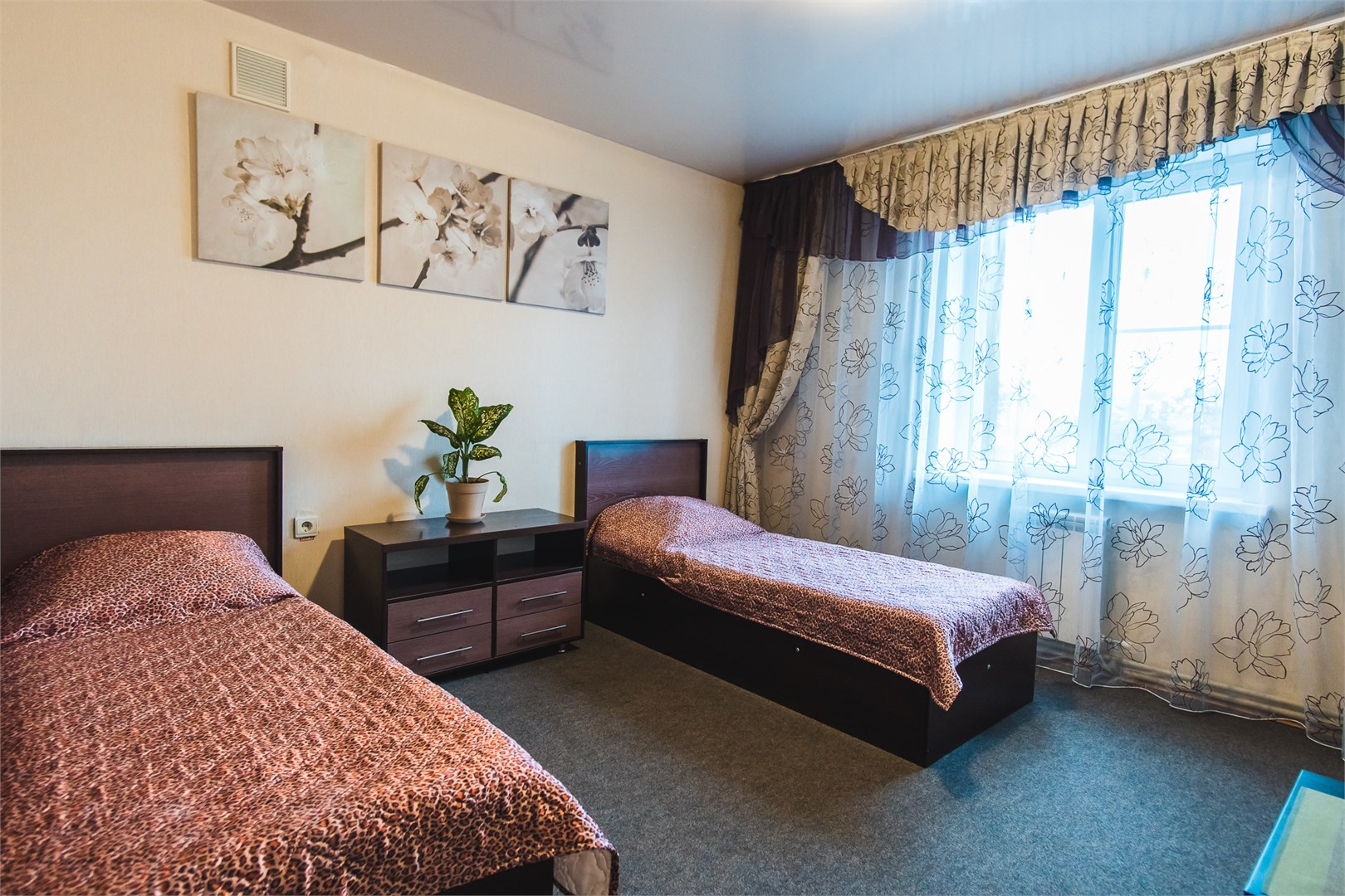 Шоколад - photo 5