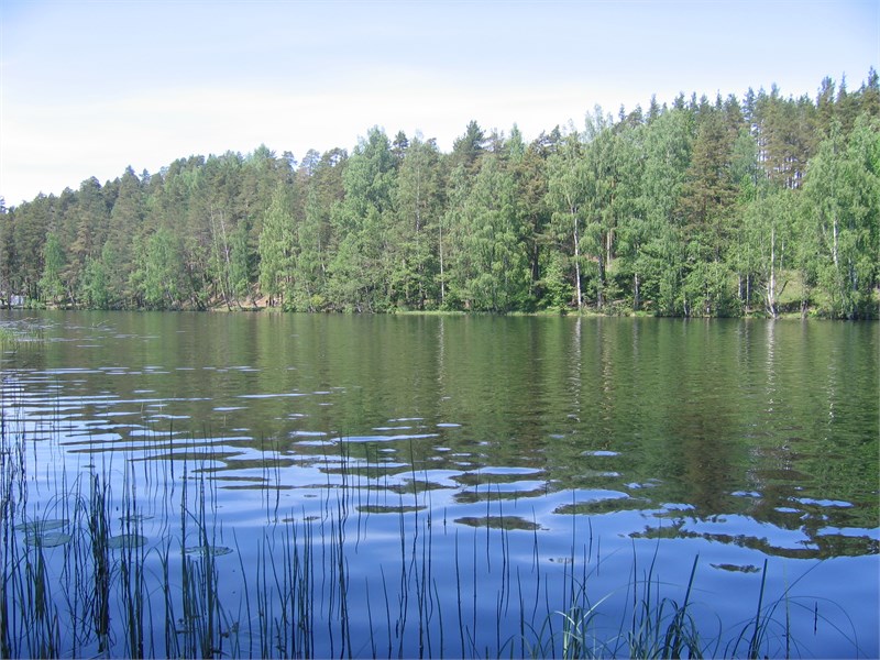 Связист (пакет выходной) - photo 4