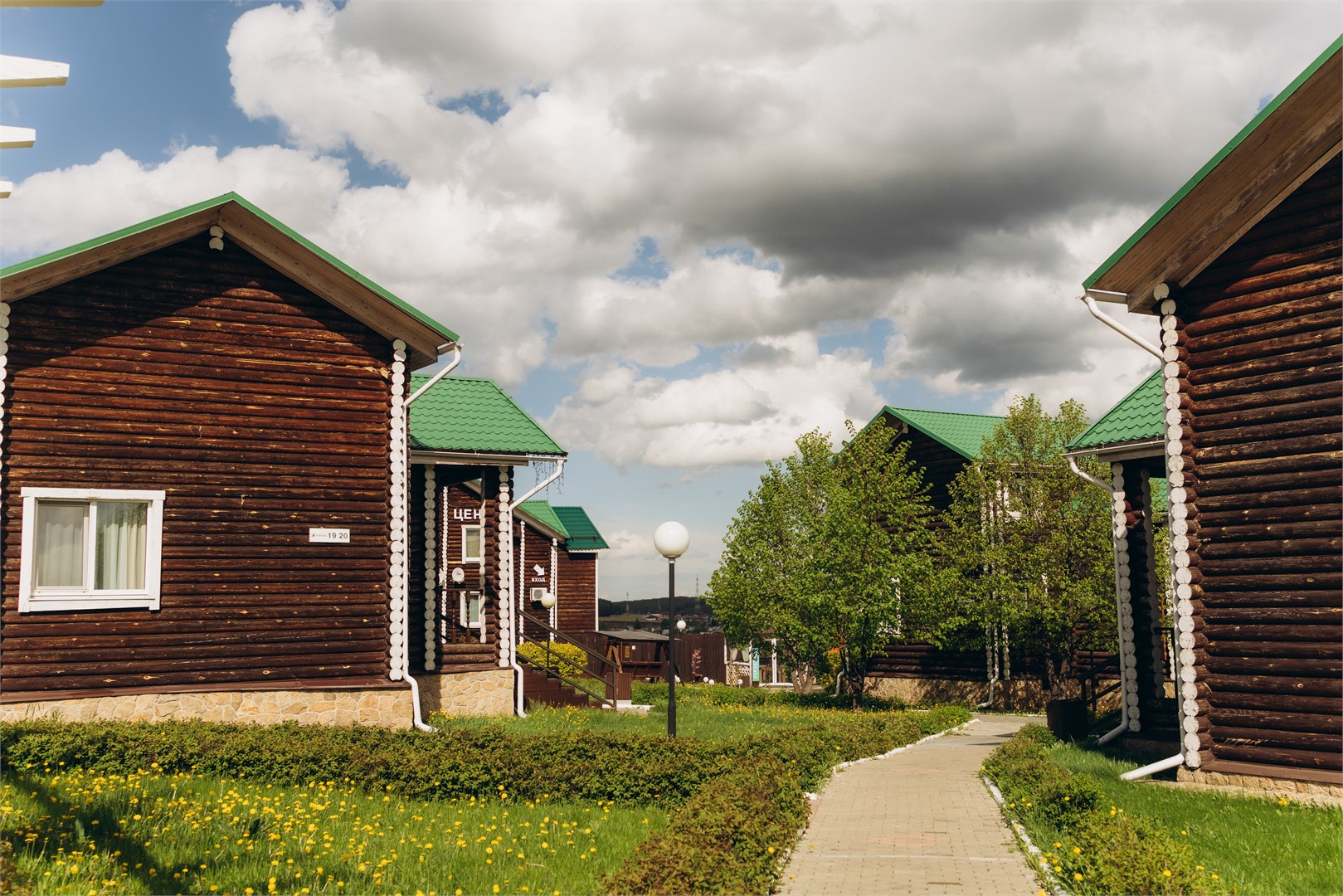 Белая лошадь - photo 3