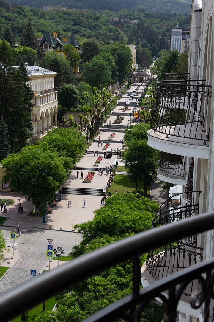 Арника - photo 2