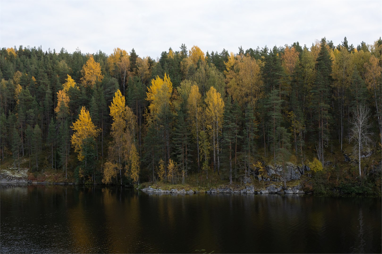 Форрест Лодж Карелия - photo 4