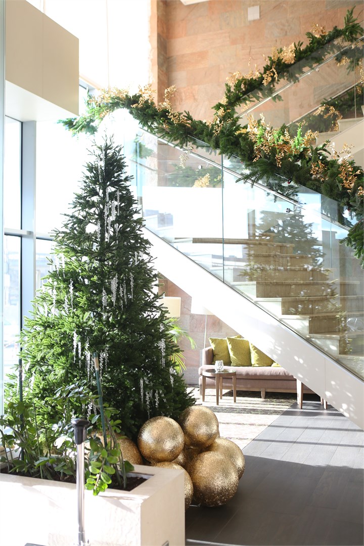 Hilton Garden Inn Volgograd - photo 3