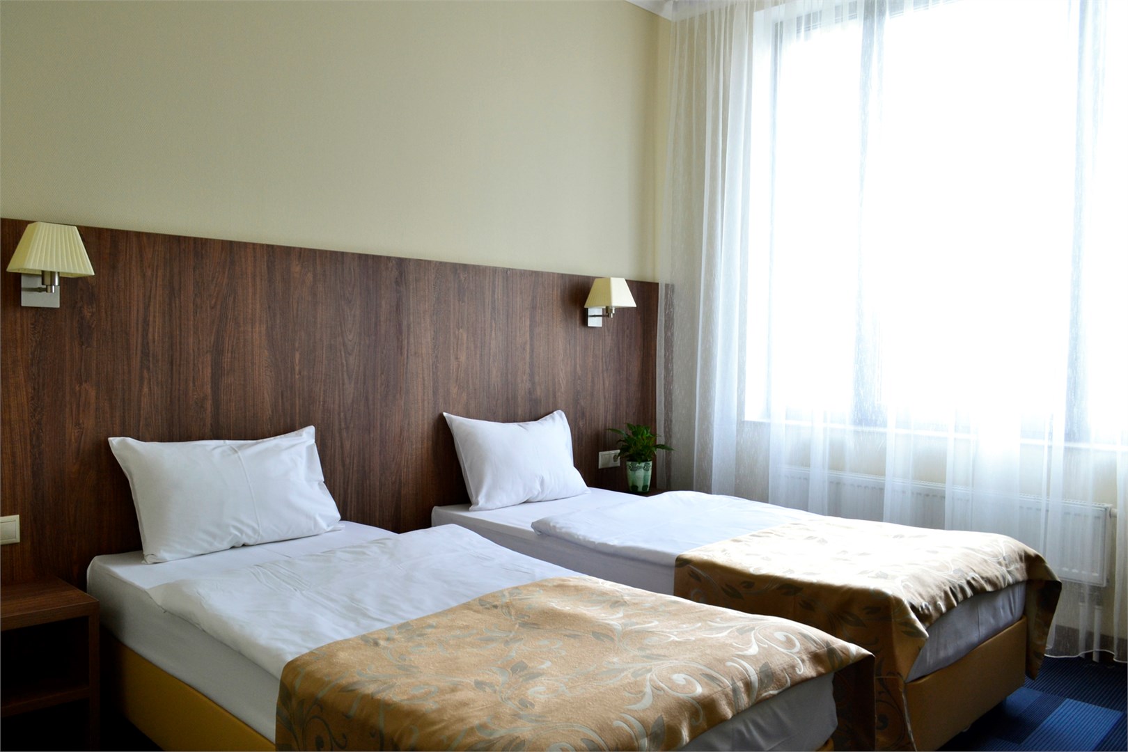 SkyPoint Sheremetyevo Hotel - photo 5