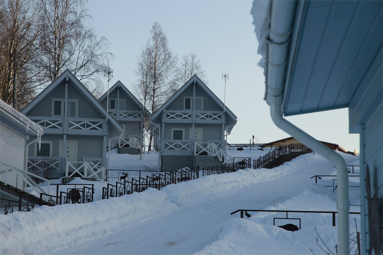 Медвежья гора - photo 4