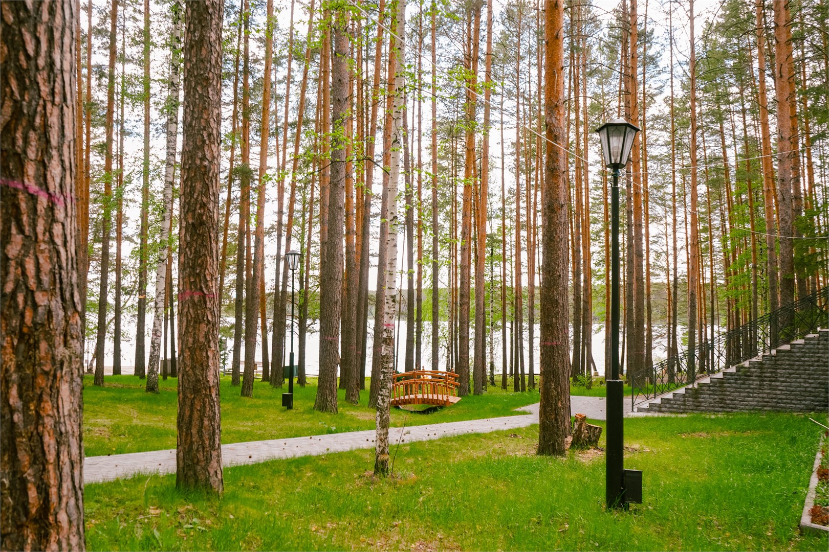 Загородный комплекс "Салют" - photo 4