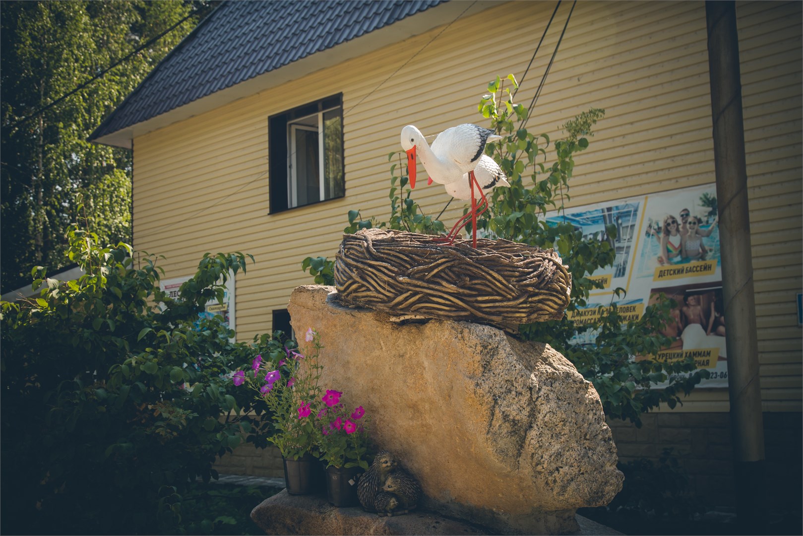 Лесное Поместье - photo 2