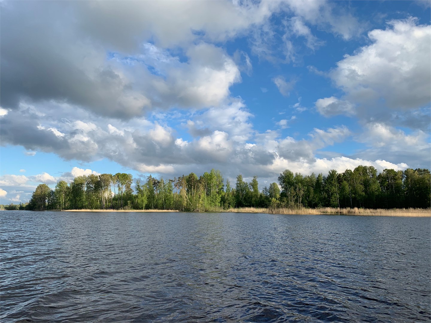 Рыбная слобода - photo 4