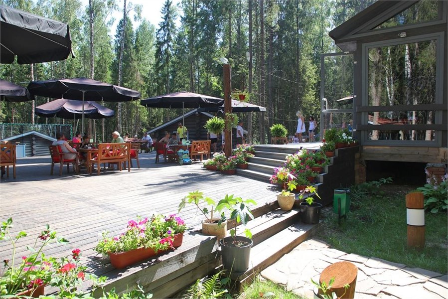 Экоотель «Романов Лес» - photo 3