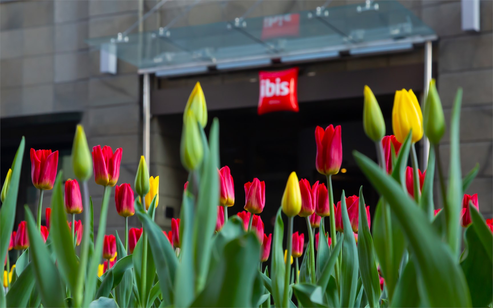 ibis Москва Центр Бахрушина - photo 3