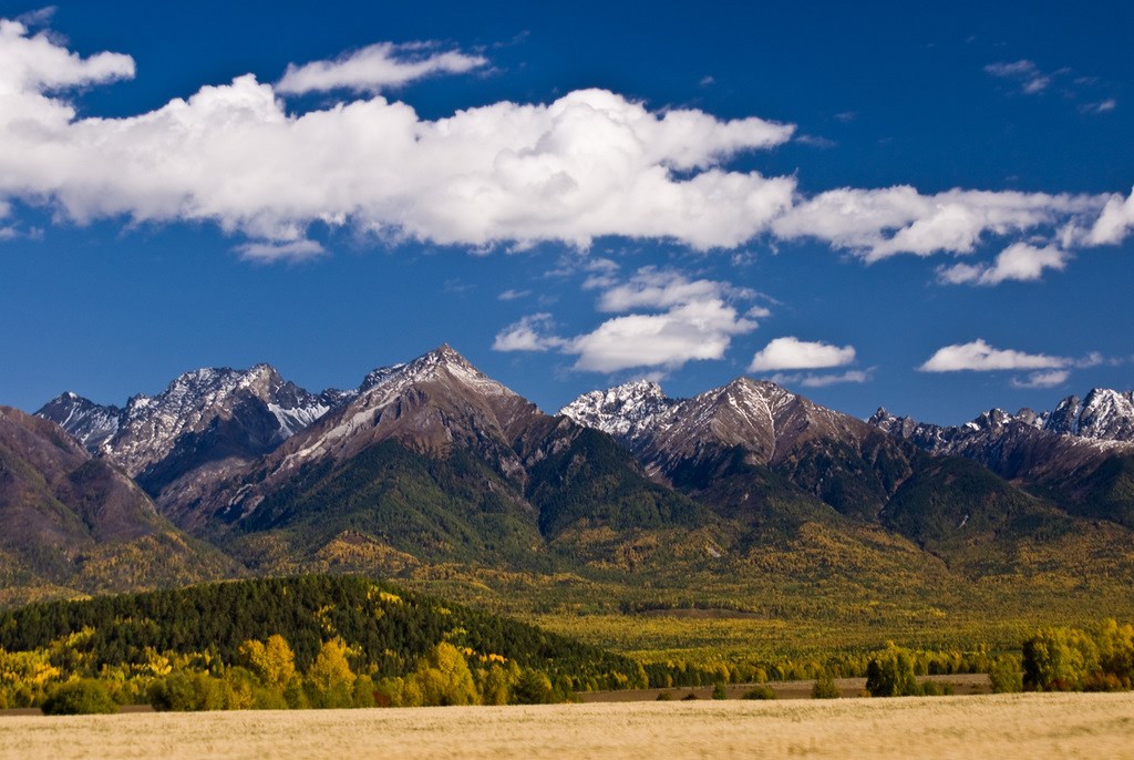 Пансионат «Энергетик» - photo 4