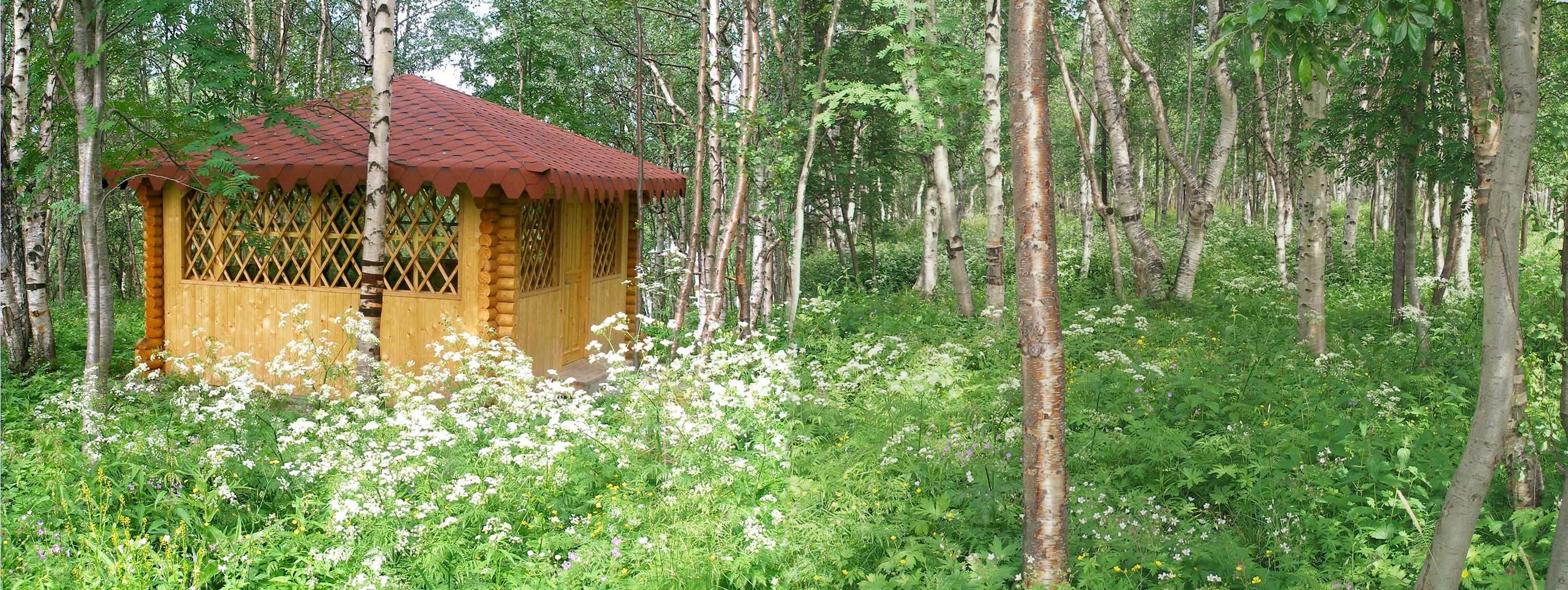 Лапландия - photo 4