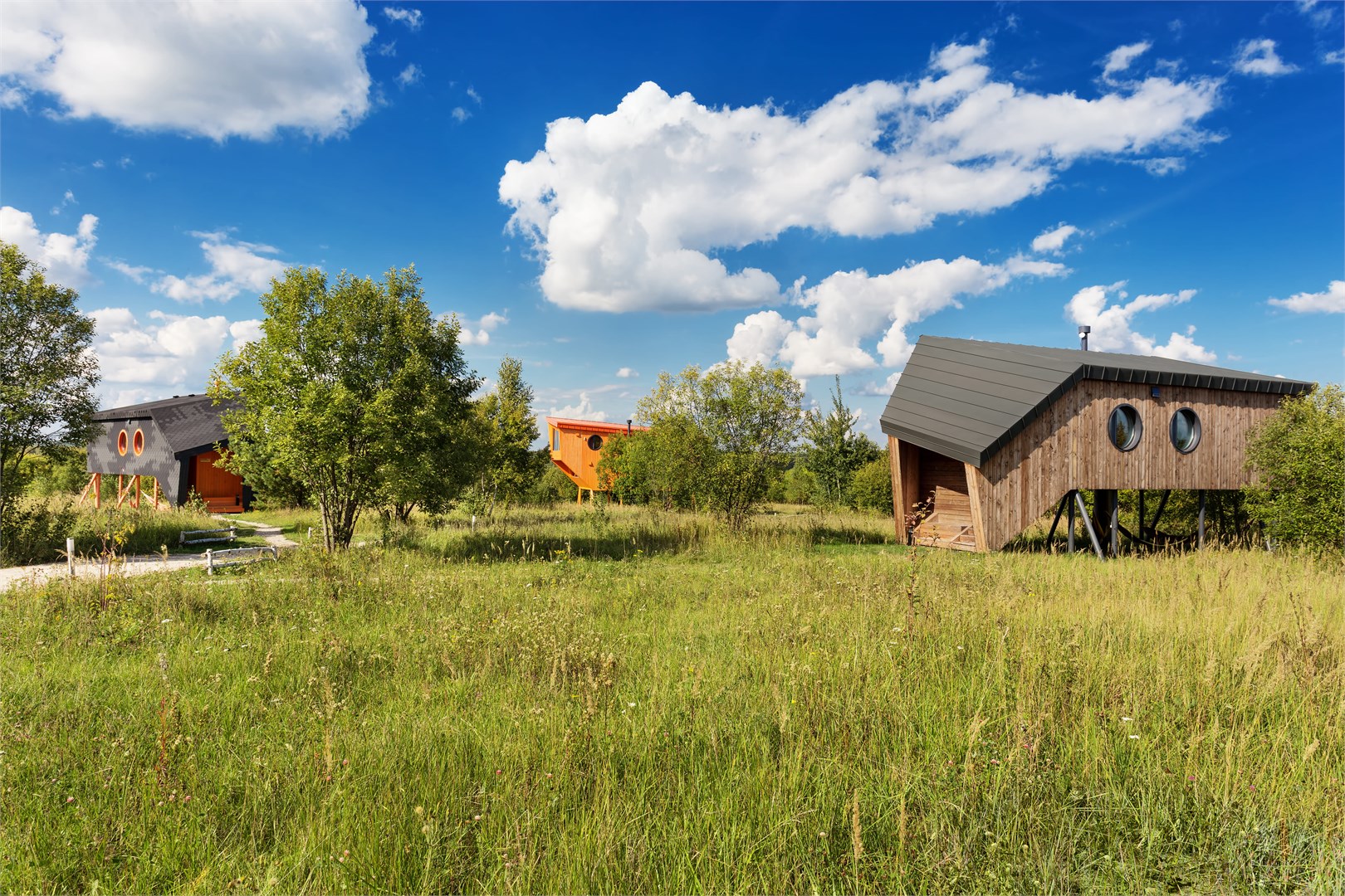 Ясно Поле - photo 3