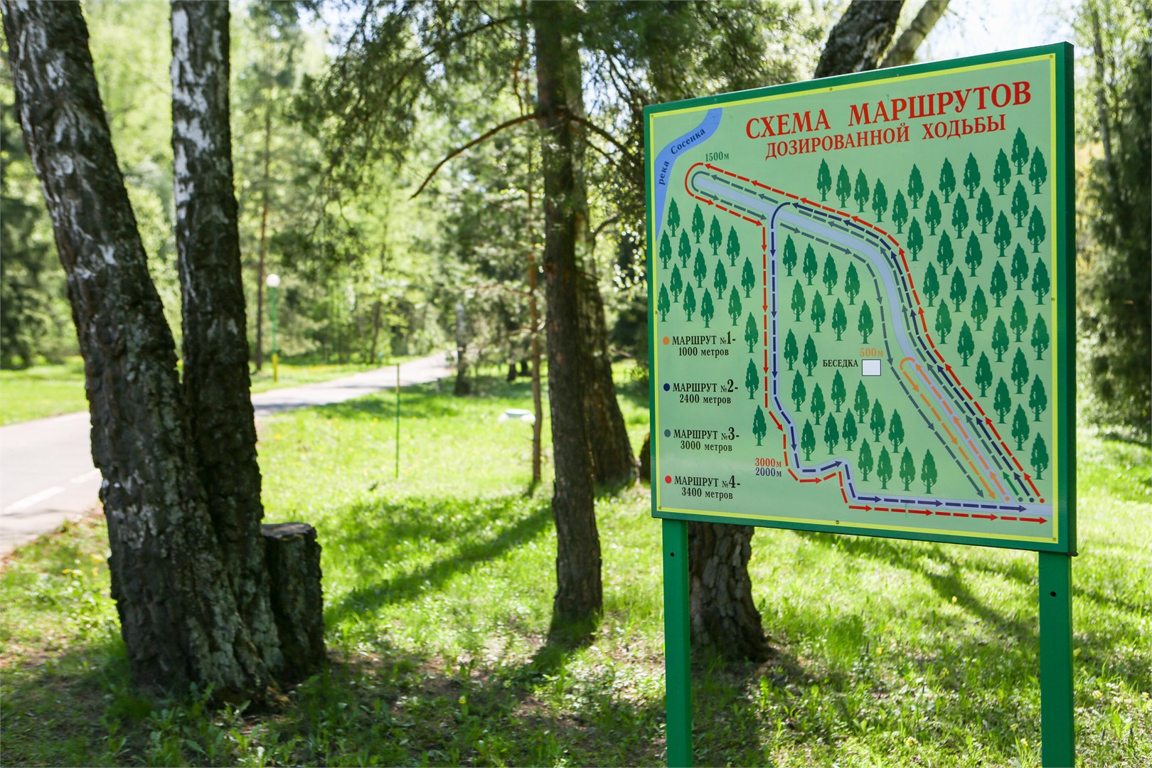 ОК "Десна" Президент Сервис - photo 5