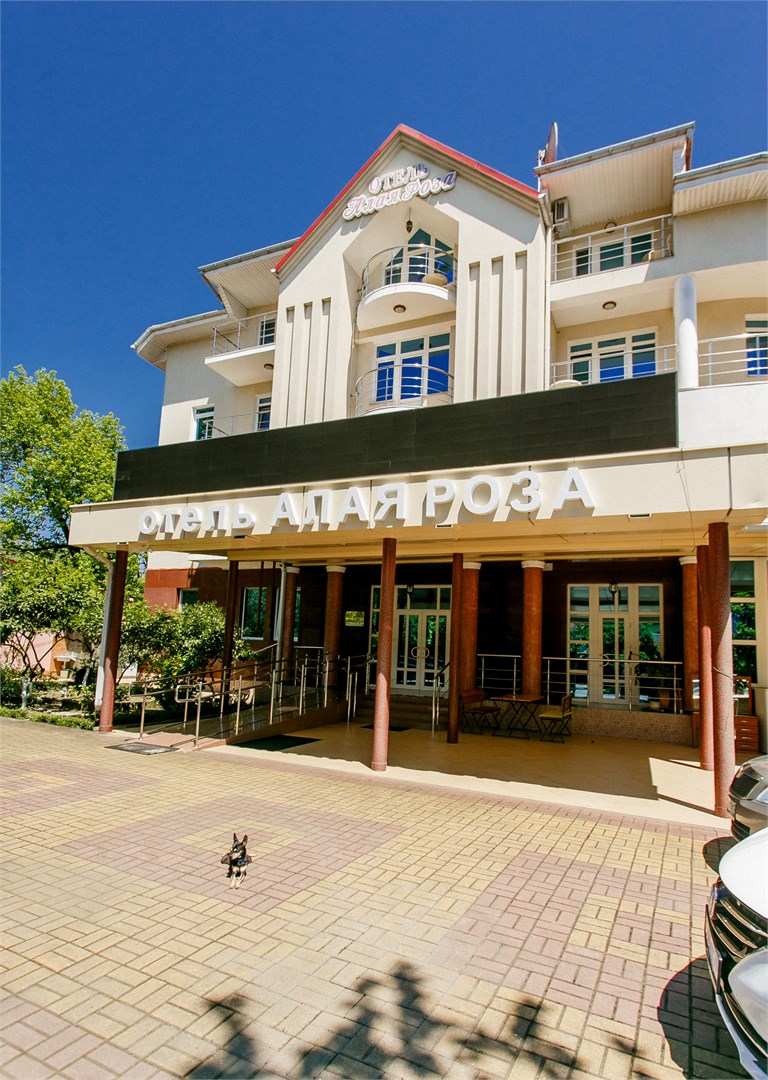 Алая Роза - photo 2