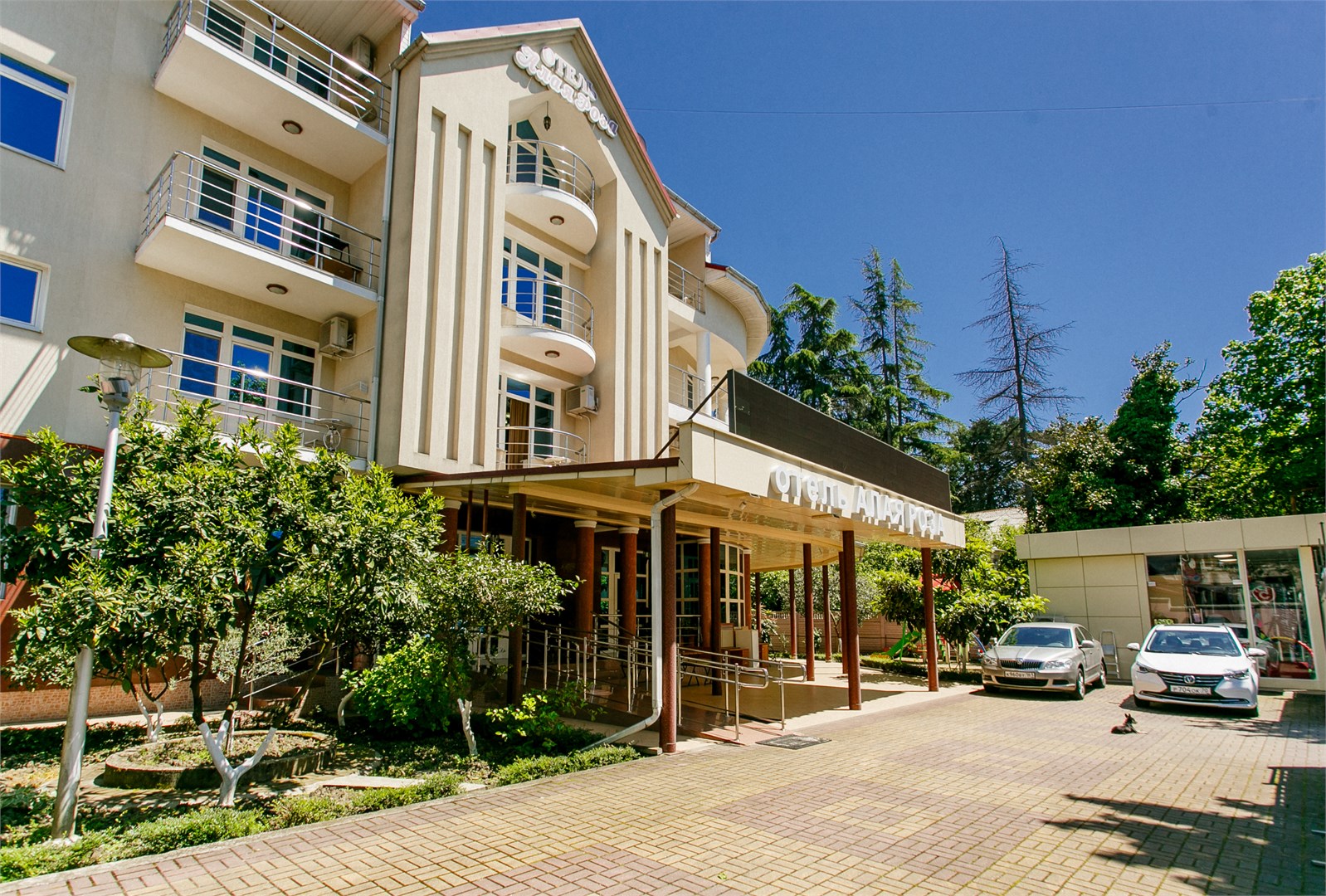 Алая Роза - photo 3