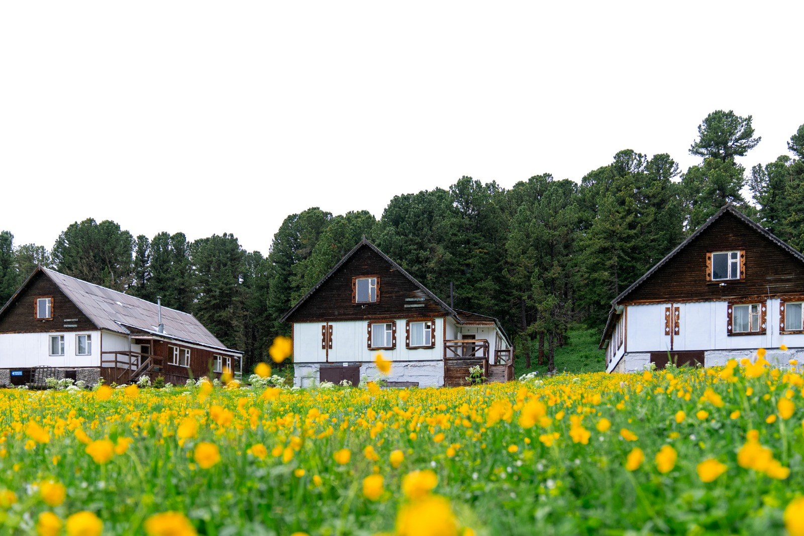 База Динамо - photo 5