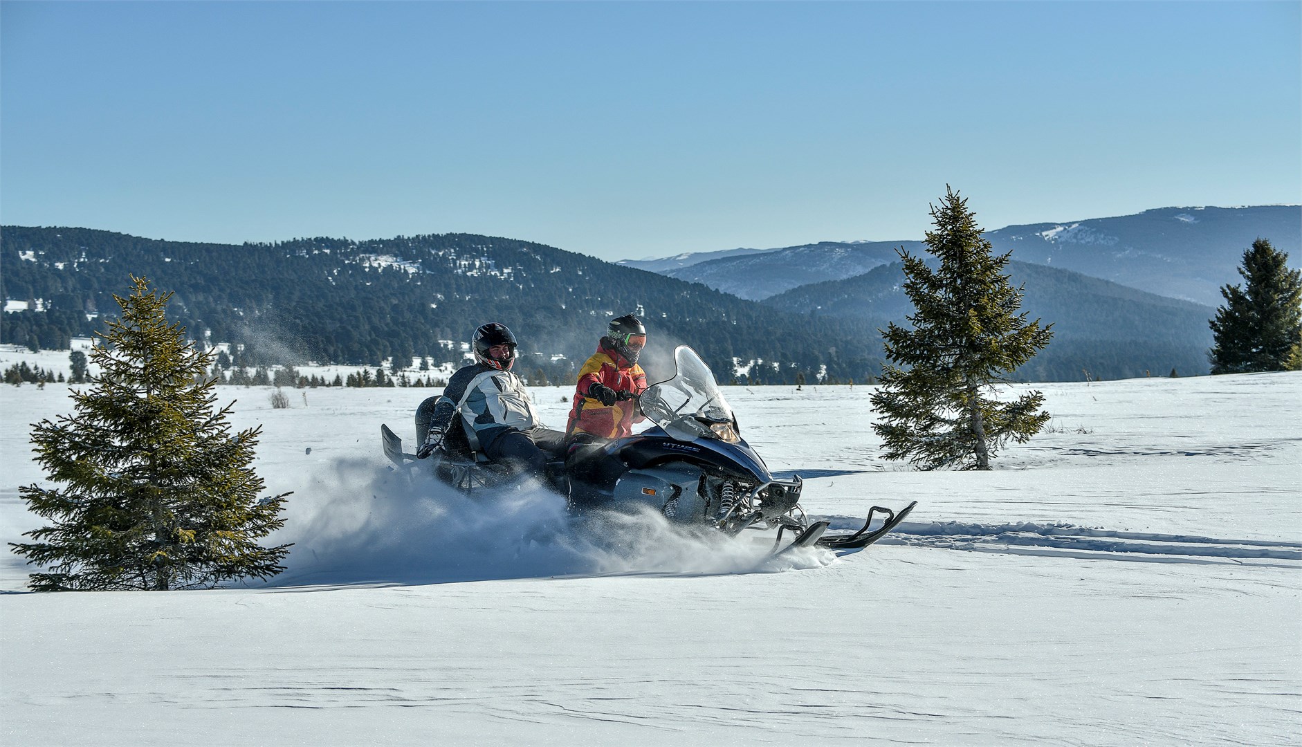 База Динамо - photo 3