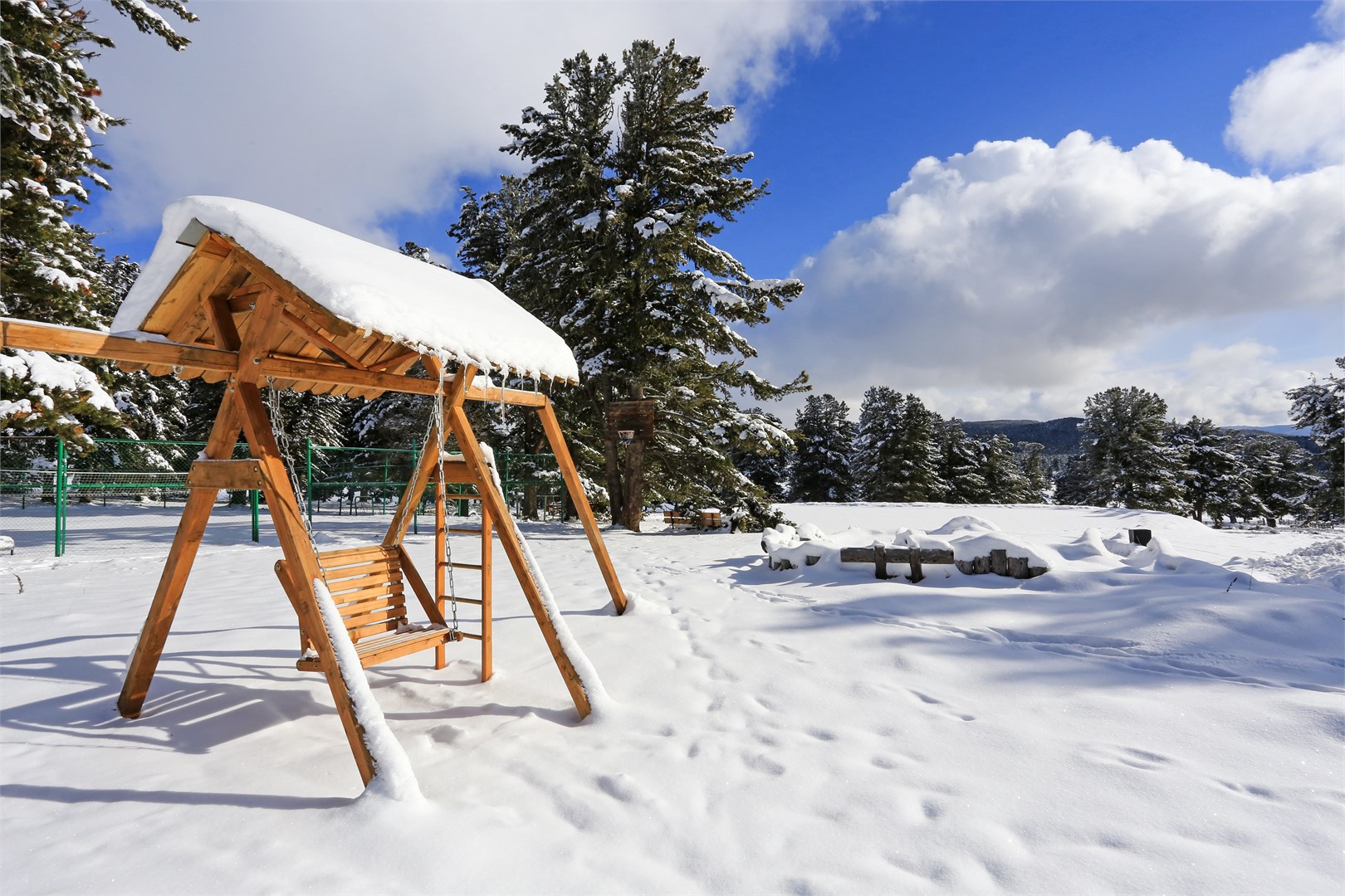 База Динамо - photo 2