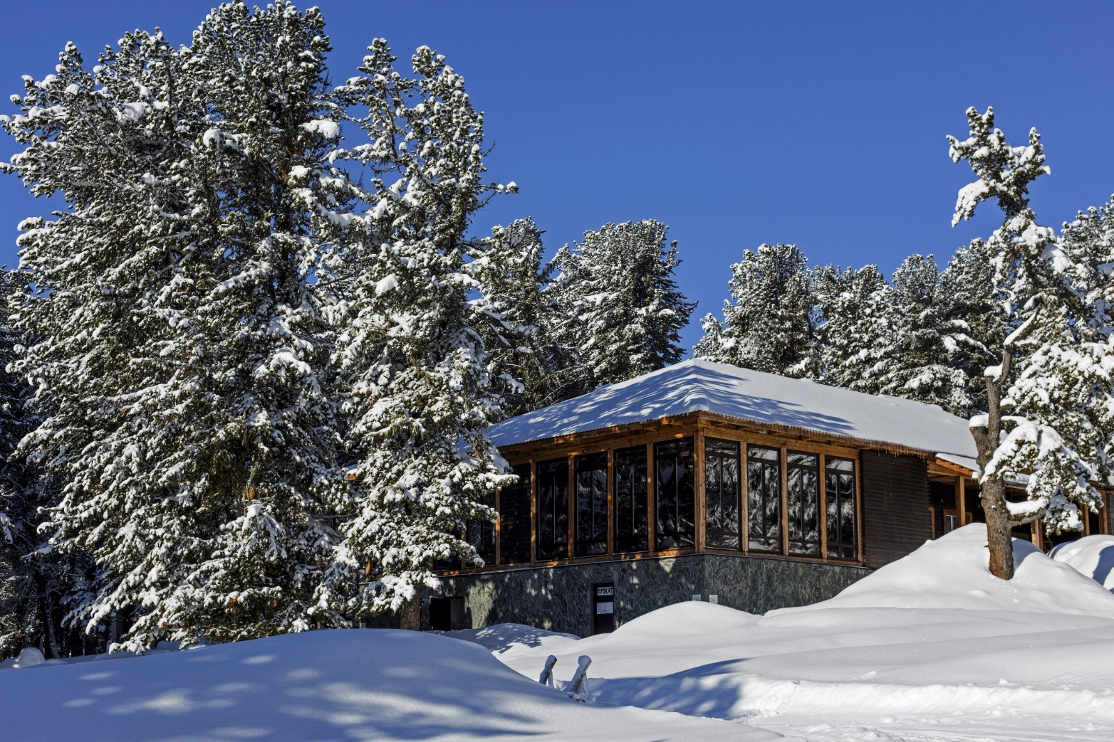 База Динамо - photo 4