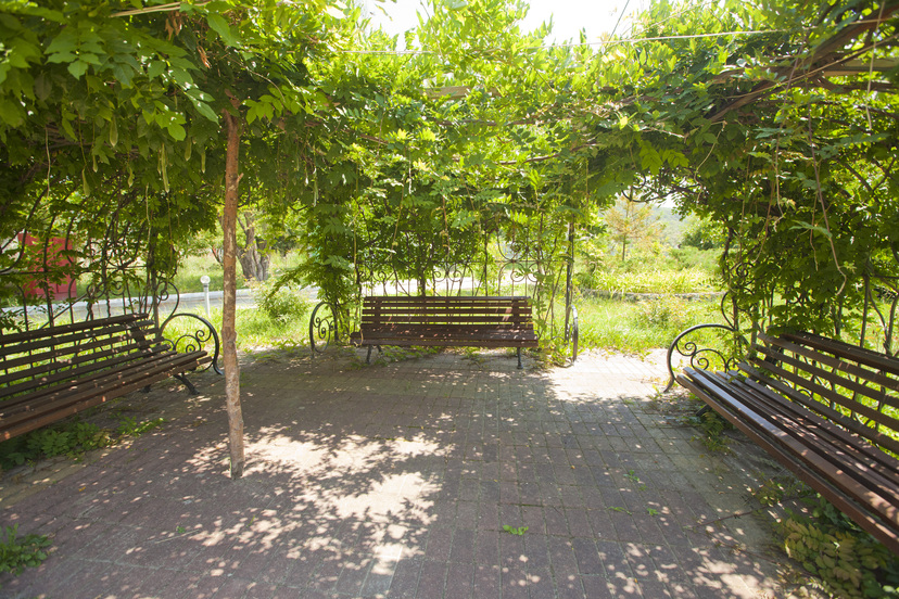 Курортный комплекс "Садко" - photo 4