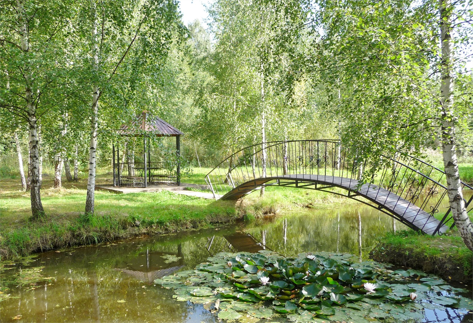 Алексино - photo 2
