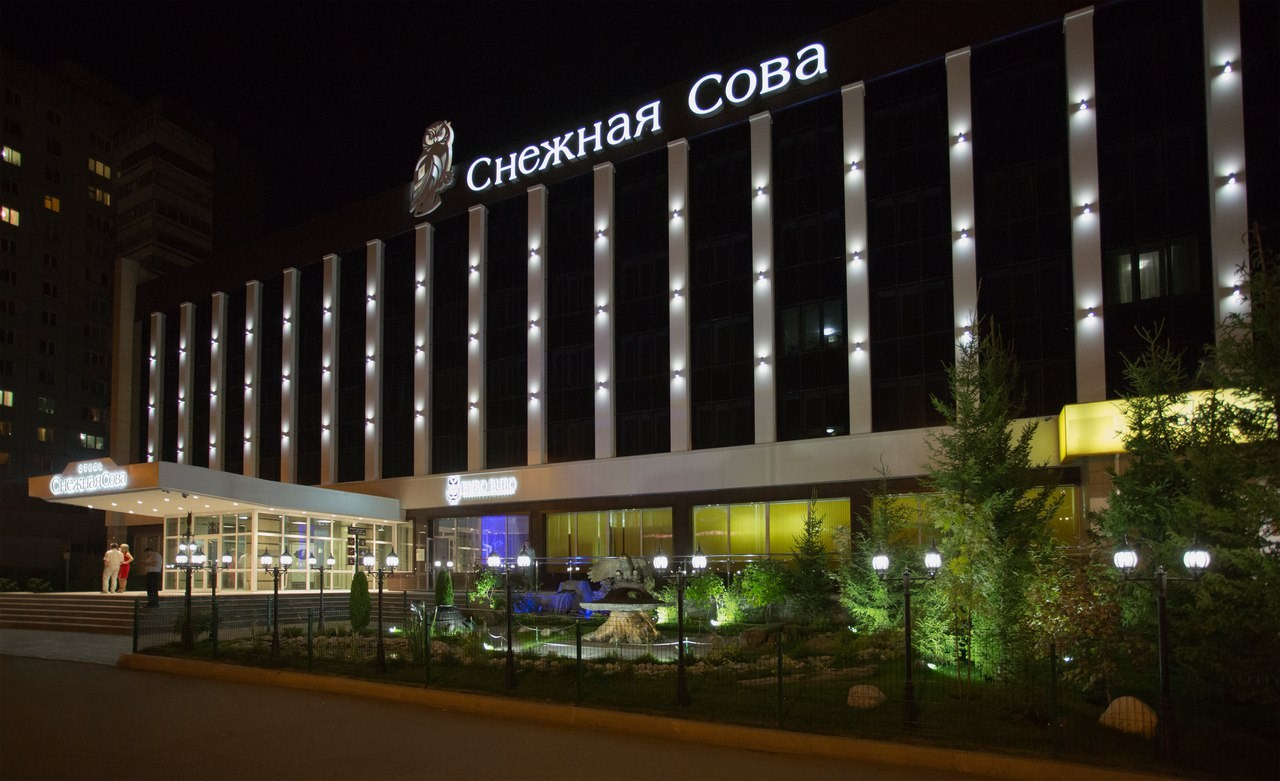 Снежная Сова - photo 2