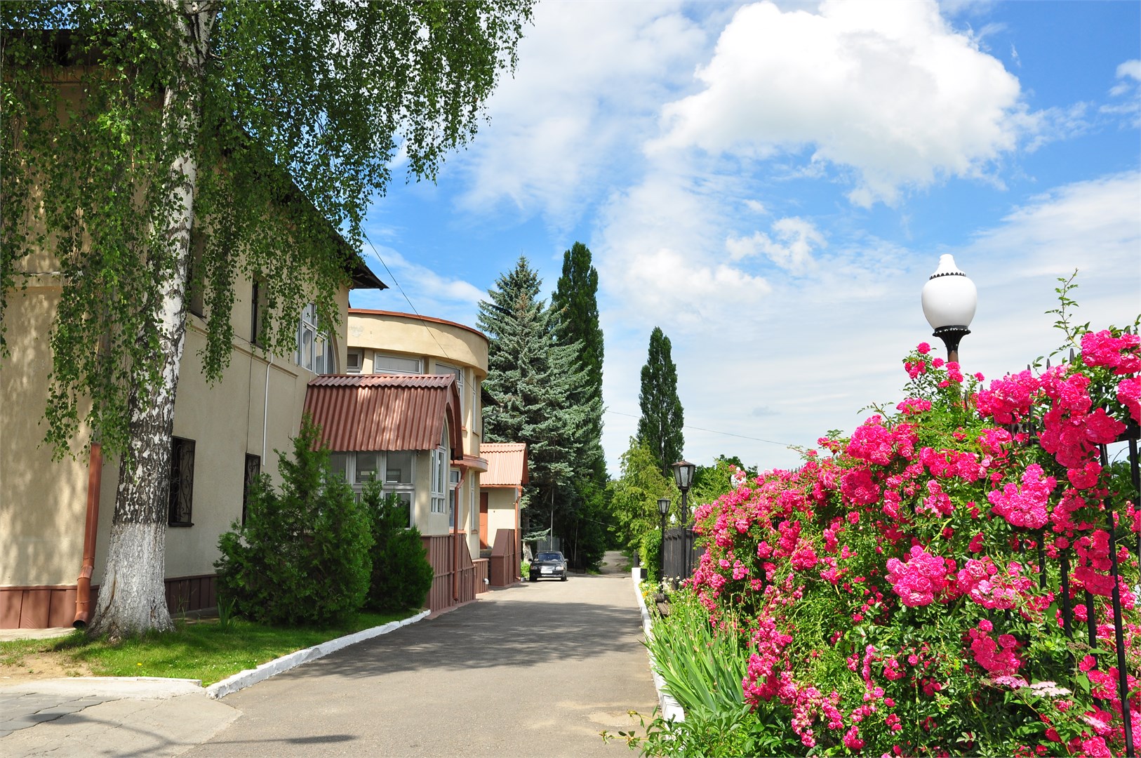 Мечта - photo 2