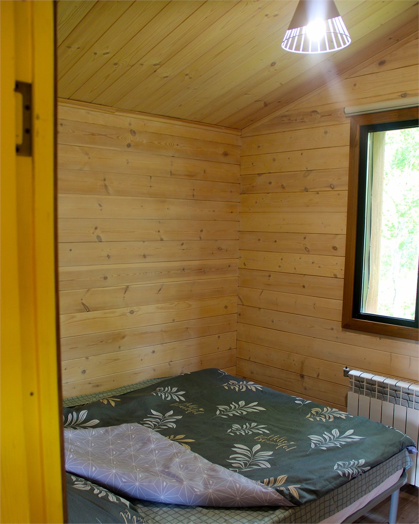 Kamchatka Magic Wood - photo 4