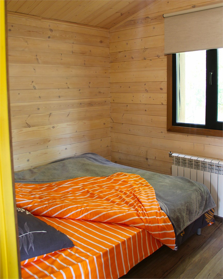 Kamchatka Magic Wood - photo 5