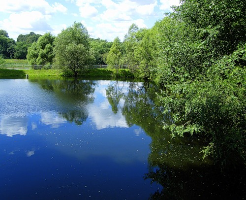 Санаторий "Валуево" - photo 5
