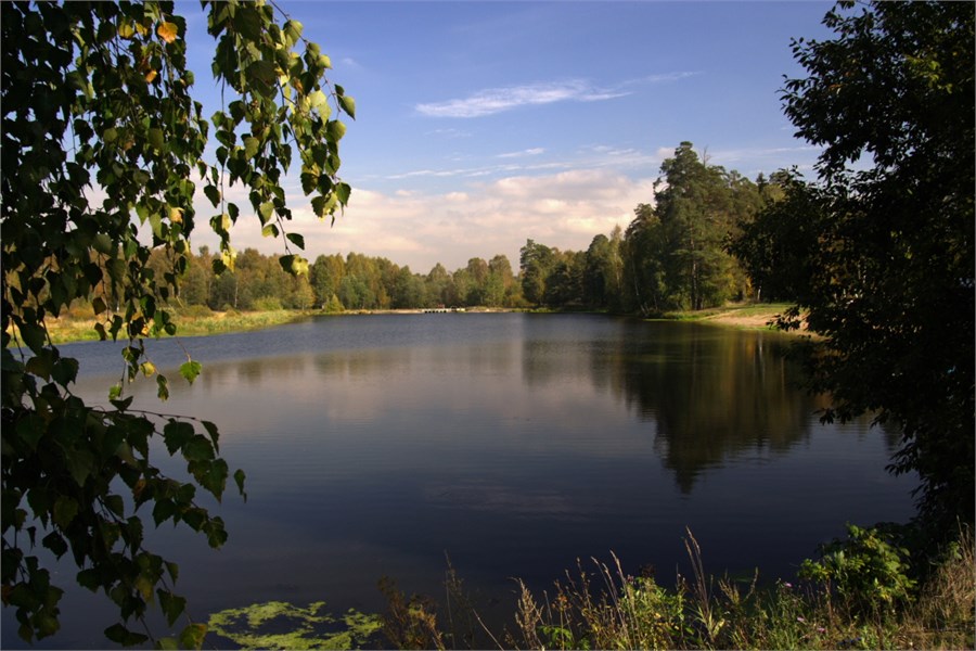 Центр отдыха Зеленый городок