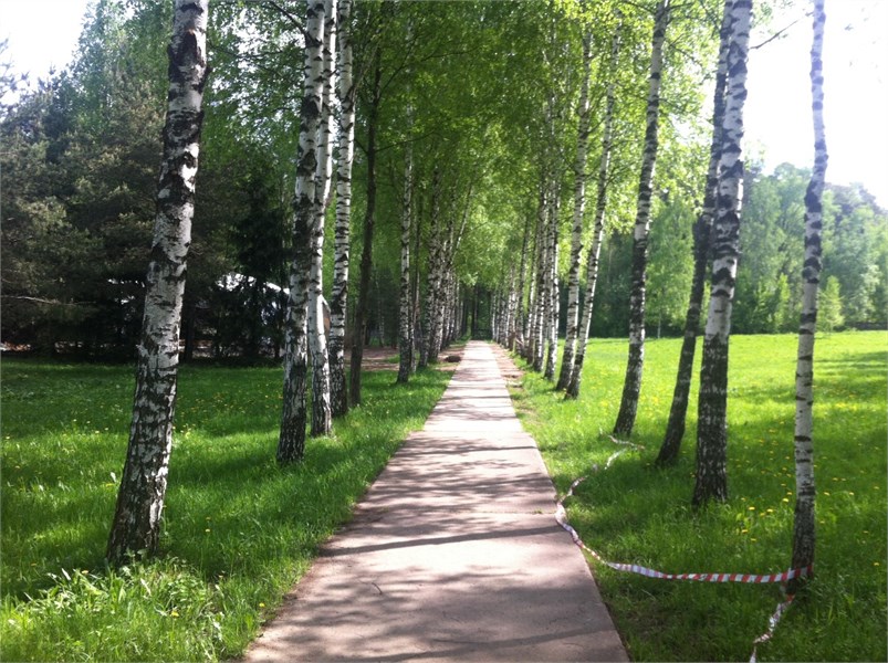 Центр отдыха Зеленый городок - photo 2