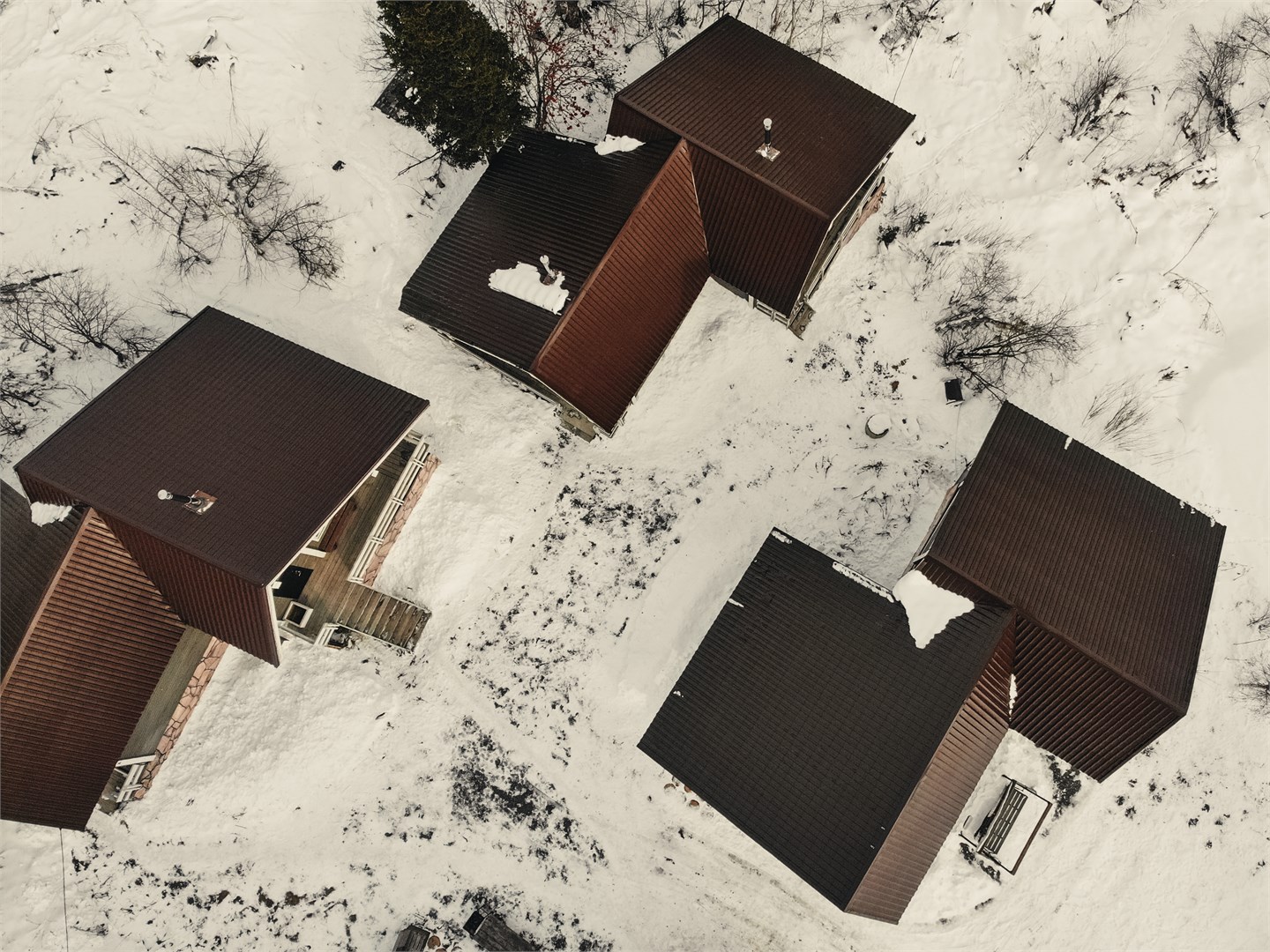 Стороны света