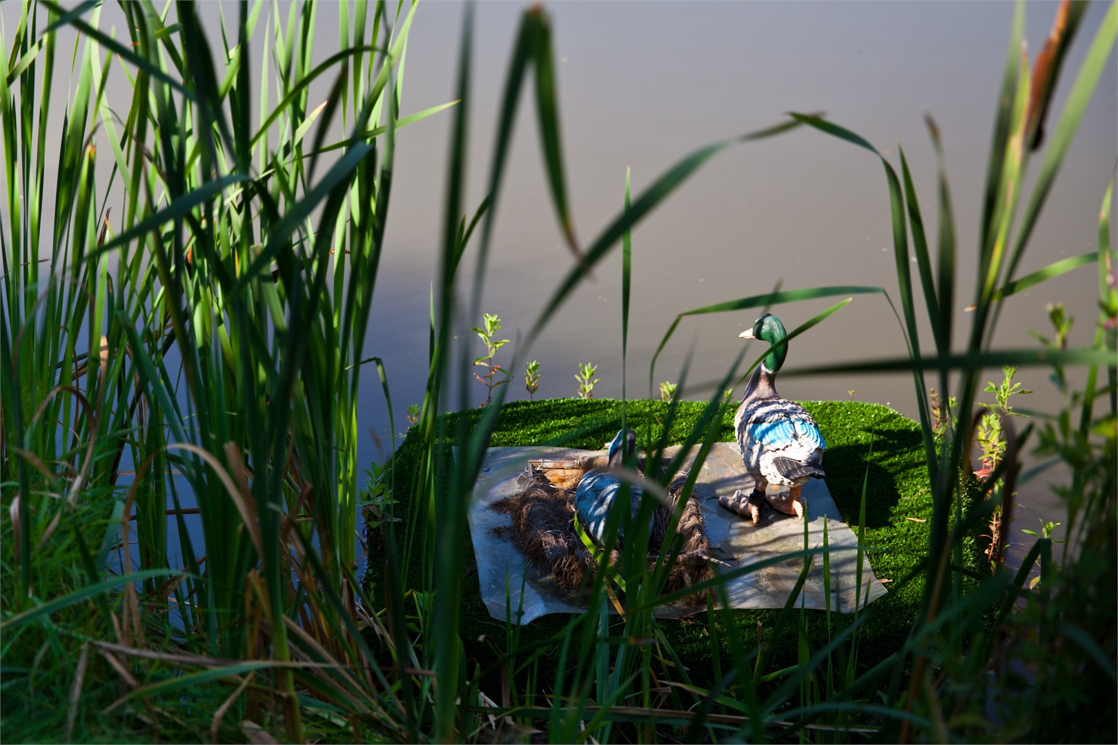 ПетроСпорт Отель - photo 3