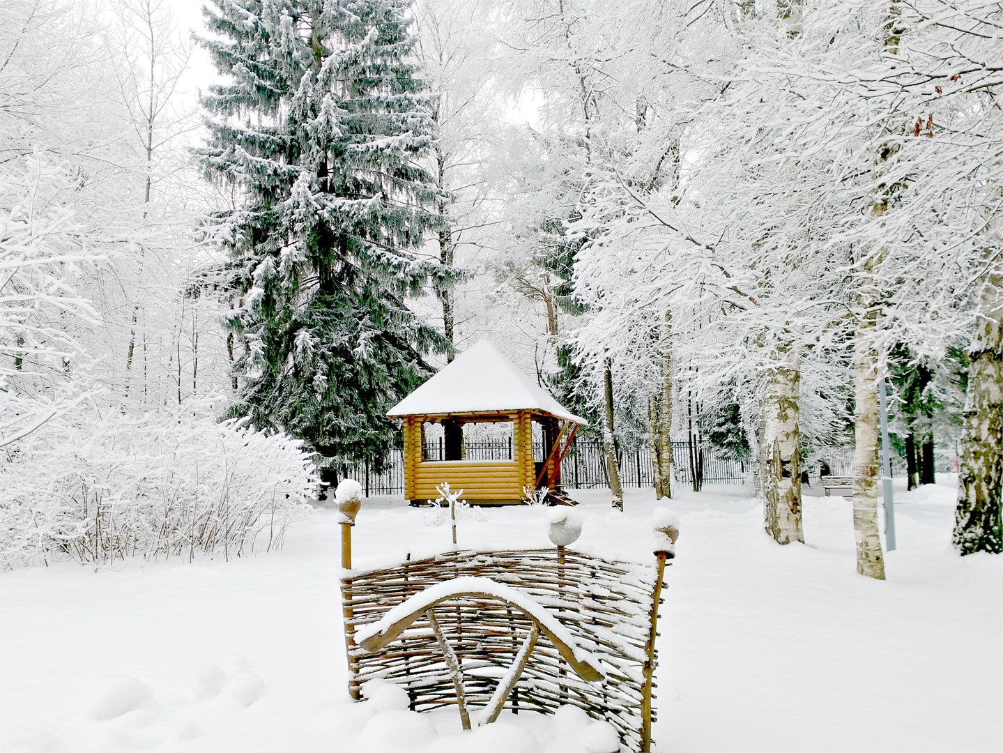 Тверь Парк Отель - photo 5