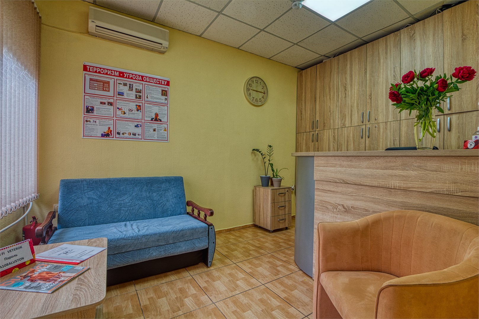 Пеликан - photo 3