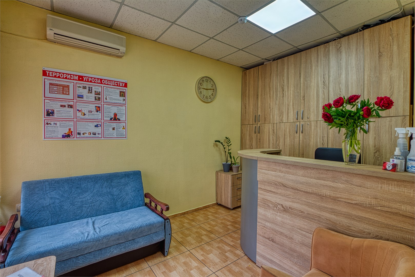 Пеликан - photo 2