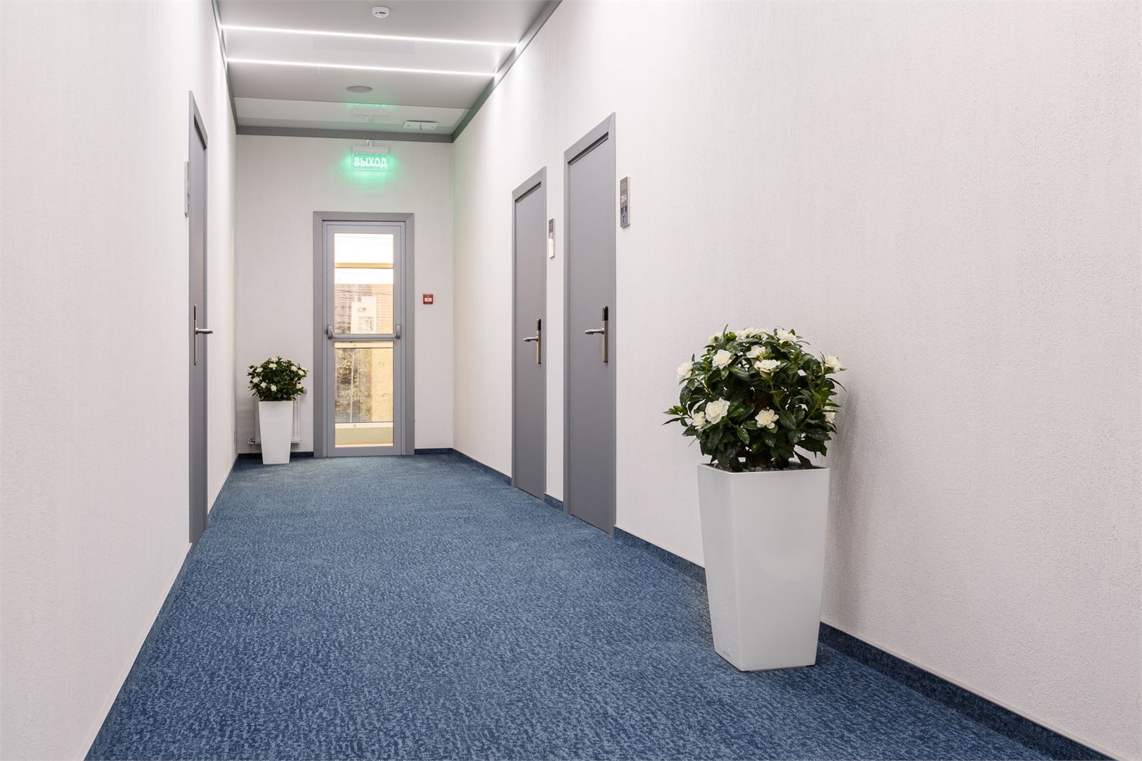 Корона - photo 2