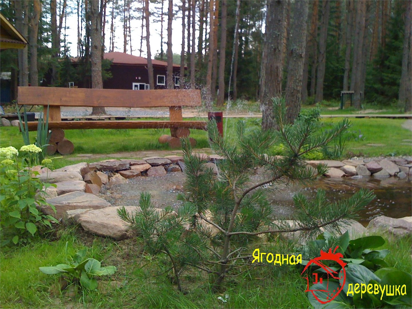 Ягодная деревушка - photo 2